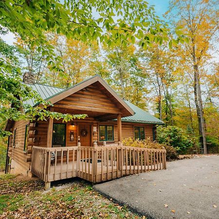 Ferngully Creek Cabins Millersburg Exterior photo